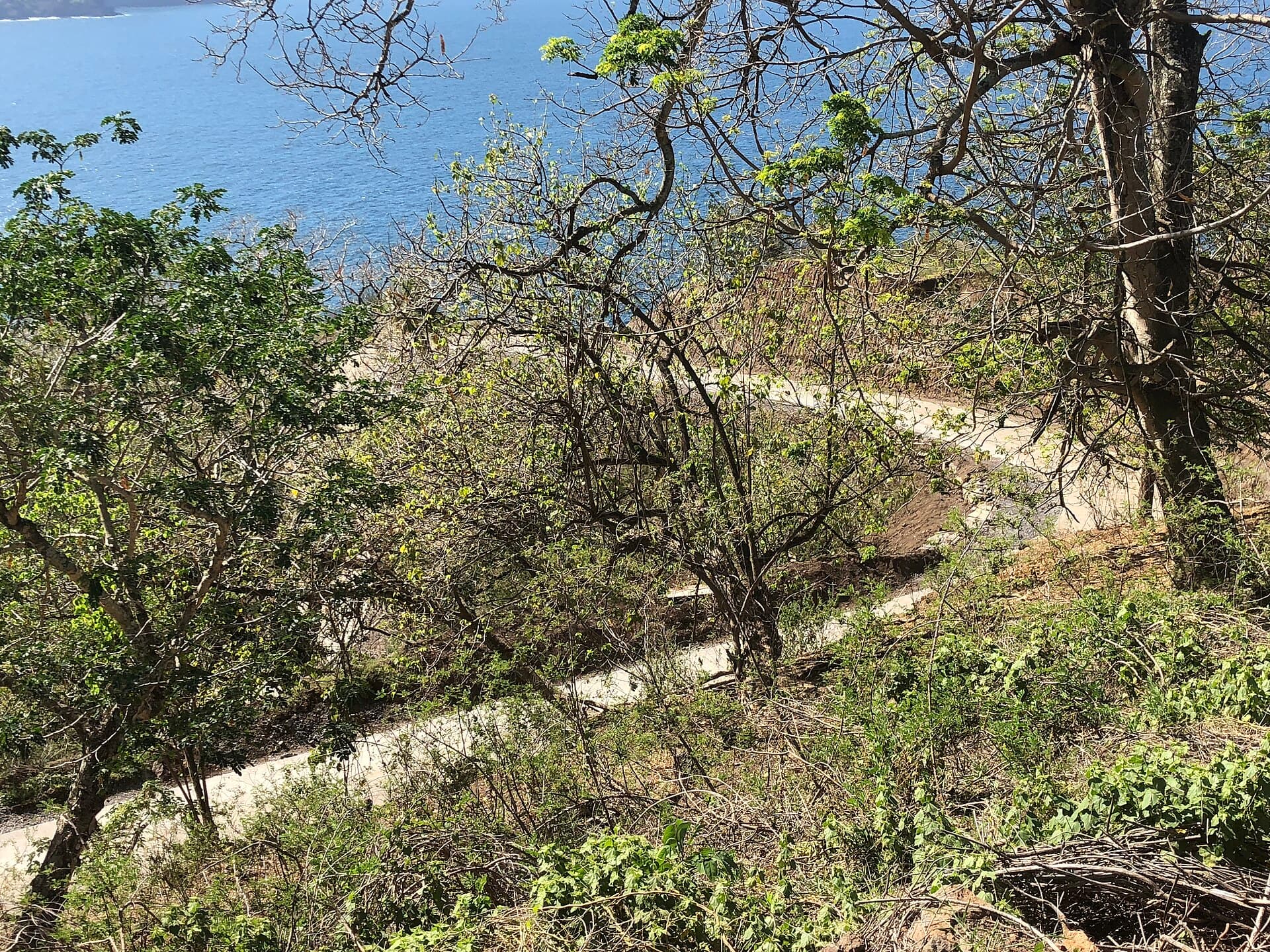 Dominica