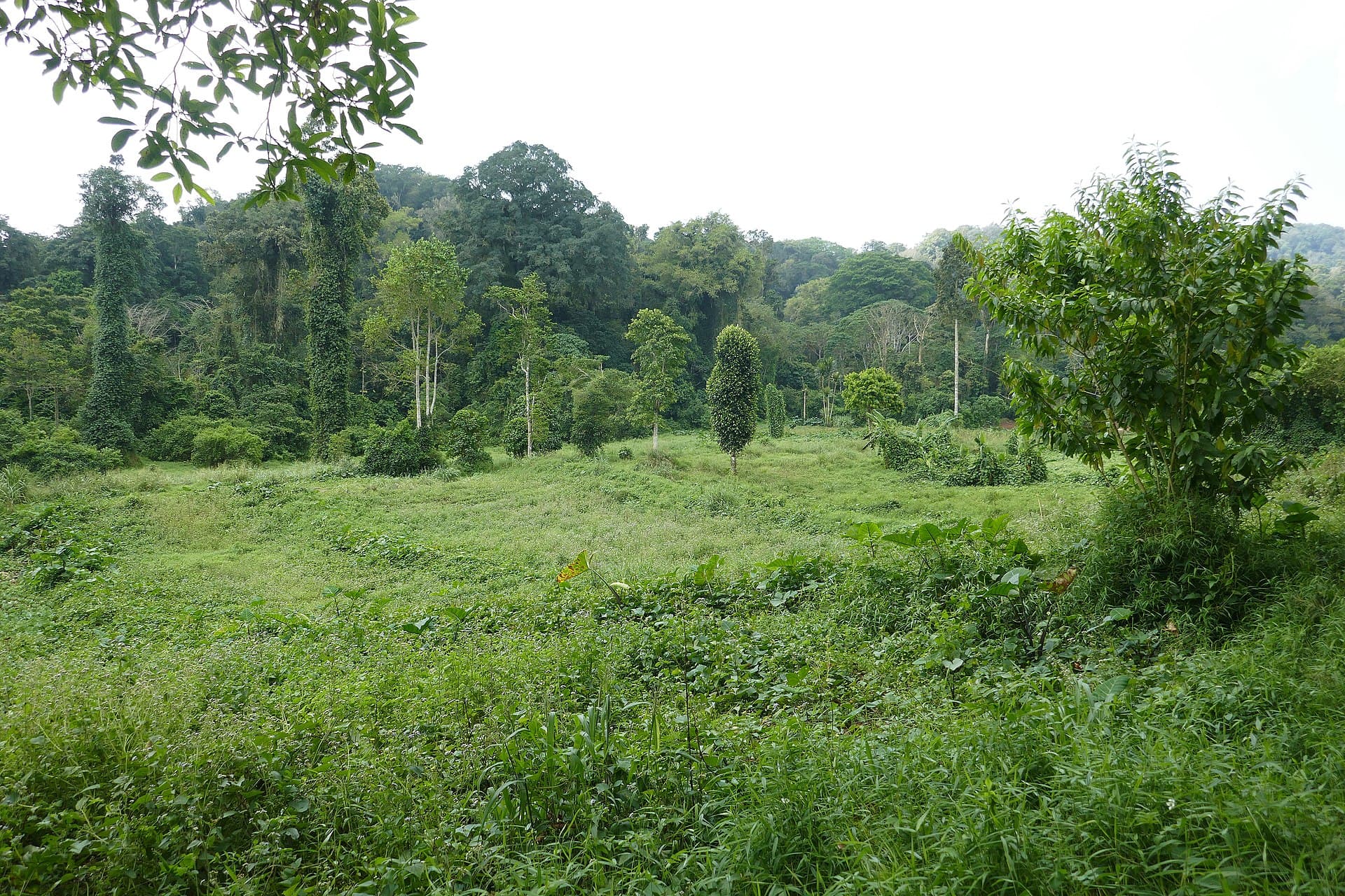 Sao Tome and Principe