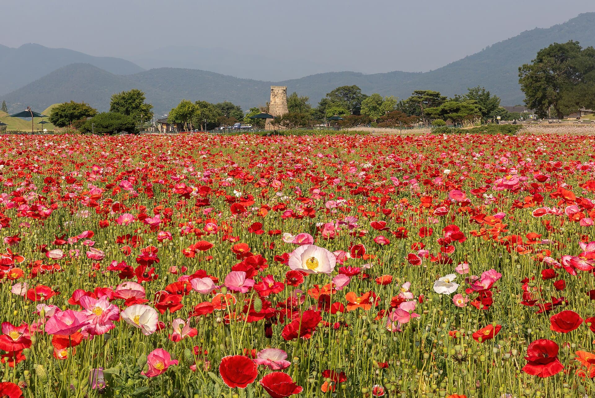 South Korea